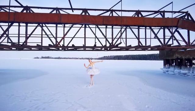 Swan Lake Petitions Putin