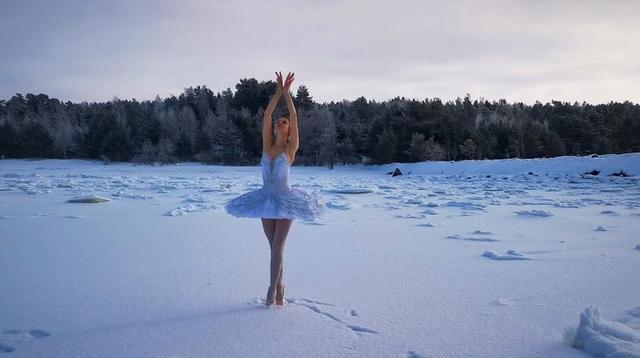 Swan Lake Petitions Putin